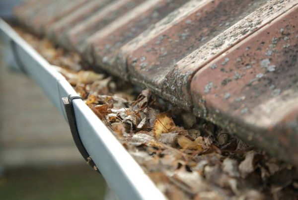 gutter full of leaves
