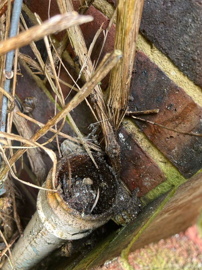 blocked downpipe blocked downpipe